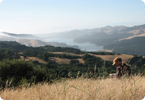 David painting in the Berkeley Hills